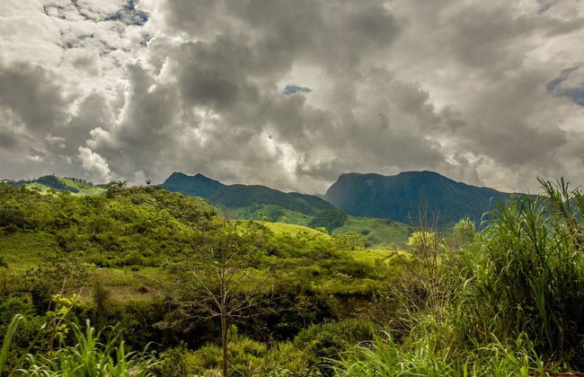 Oxapampa & Yanachaga National Park Trip - Photo 4
