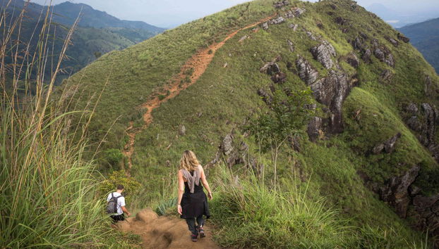 Ella Private Tour - Photo 5