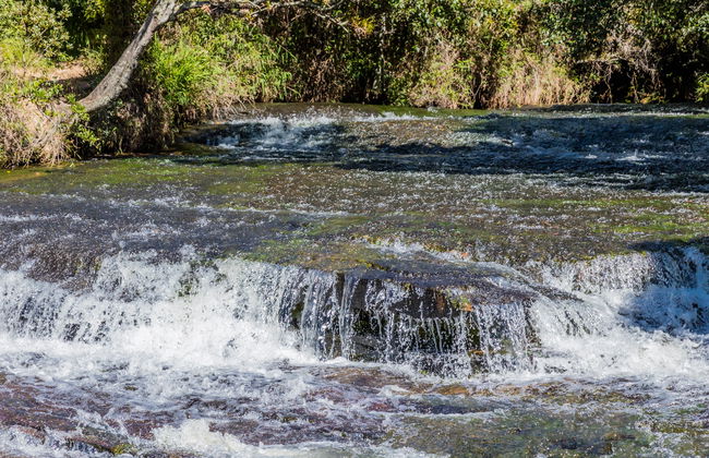 Trilha pelo Parque Ecológico La Periquera - Foto 3