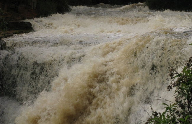 Trilha pelo Parque Ecológico La Periquera - Foto 2