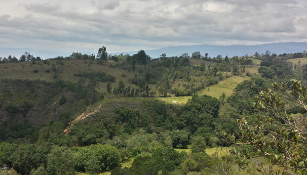 Randonnée au Parc Écologique La Periquera - Photo 2