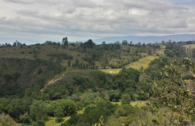 Randonnée au Parc Écologique La Periquera - Photo 2
