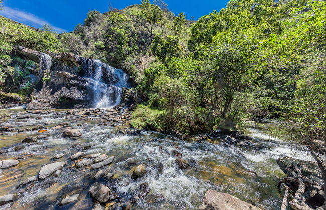 Randonnée au Parc Écologique La Periquera - Photo 7