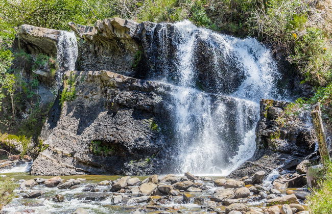 Randonnée au Parc Écologique La Periquera - Photo 3