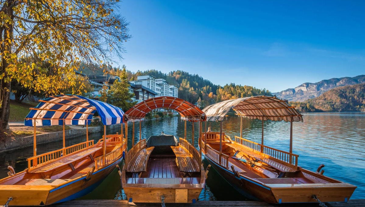 Bled Day Trip - Foto 1