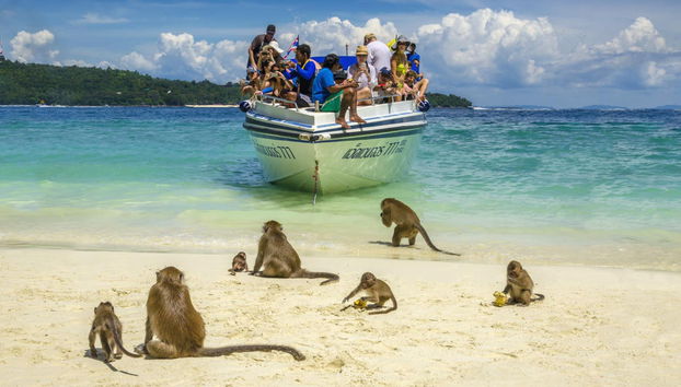Phi Phi Islands Ferry Trip - Photo 2