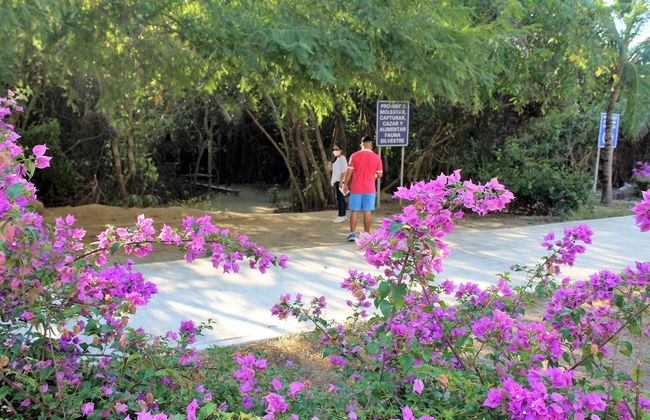 Senderismo y snorkel en el Parque Nacional de Huatulco - Foto 7