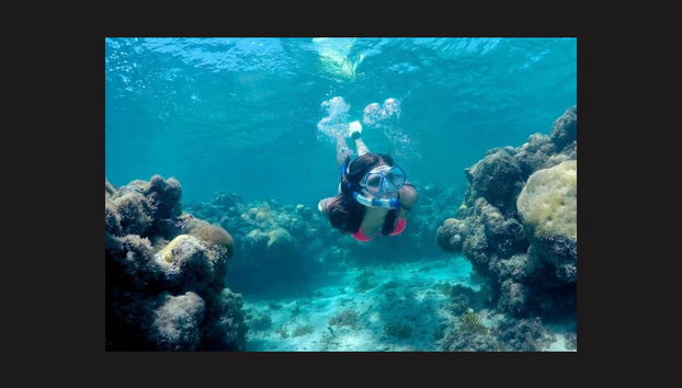 Maracajau Day Trip + Speedboat Ride - Photo 2