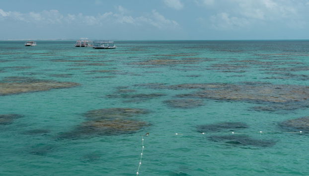 Maracajau Day Trip + Speedboat Ride - Photo 5