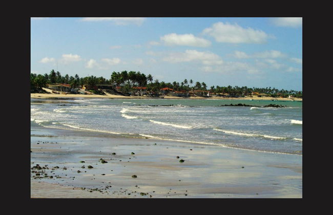 Excursión a Maracajaú + Paseo en lancha - Foto 3
