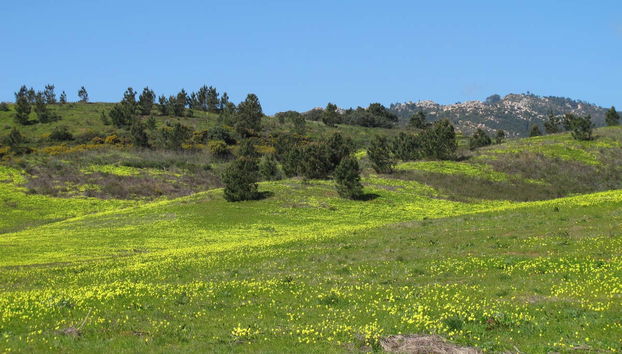 Tour del parco naturale di Sintra-Cascais in bici - Foto 4