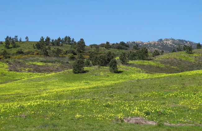 Sintra-Cascais Natural Park Bike Tour - Foto 4