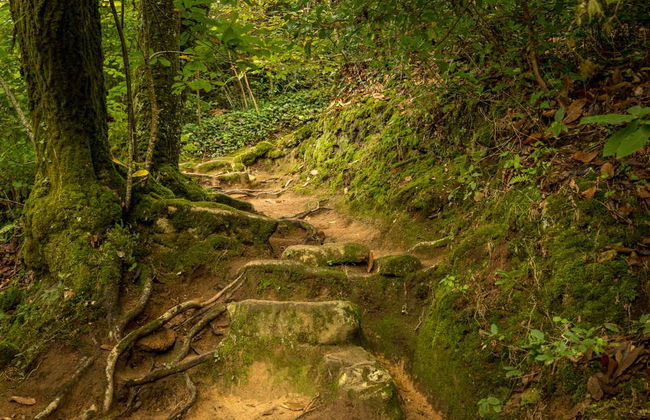 Sintra-Cascais Natural Park Bike Tour - Foto 6