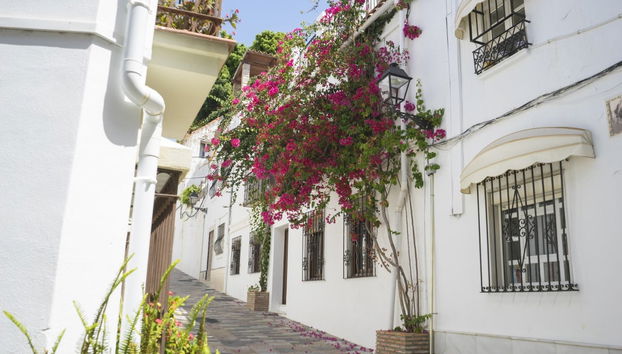 Marbella Guided Tour - Foto 5