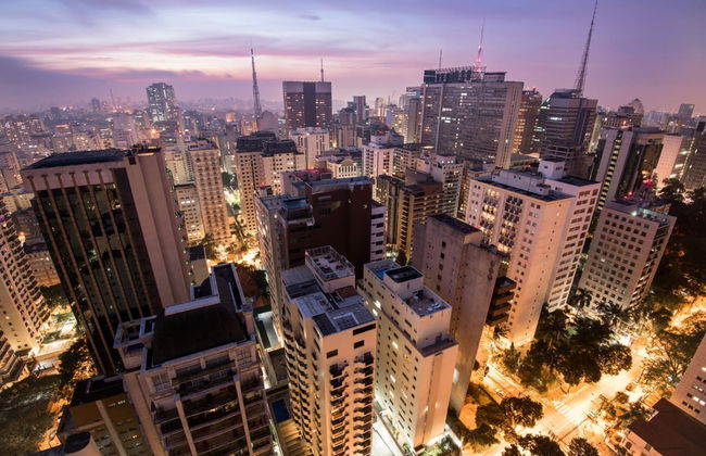 Visite privée dans São Paulo - Photo 4