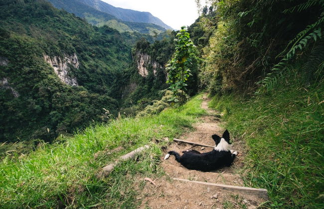Combeima Canyon & Casa Loma Hiking Tour - Photo 6