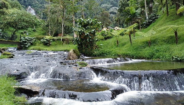 Santa Rosa de Cabal Thermal Baths Private Trip - Photo 3