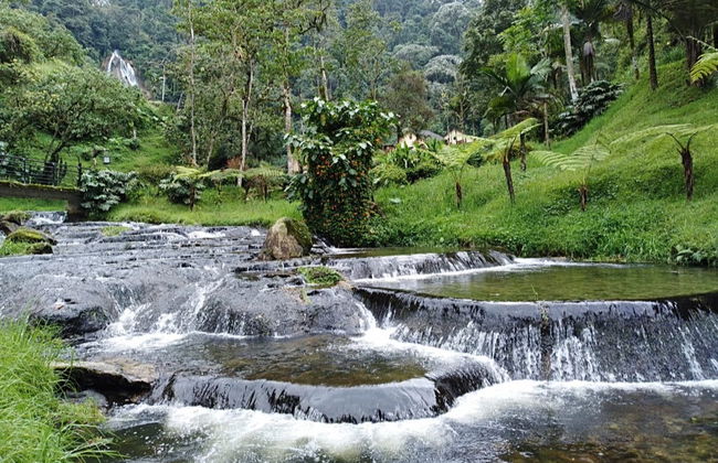 Excursão privada às termas de Santa Rosa de Cabal - Foto 3