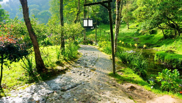 Santa Rosa de Cabal Thermal Baths Private Trip - Photo 2