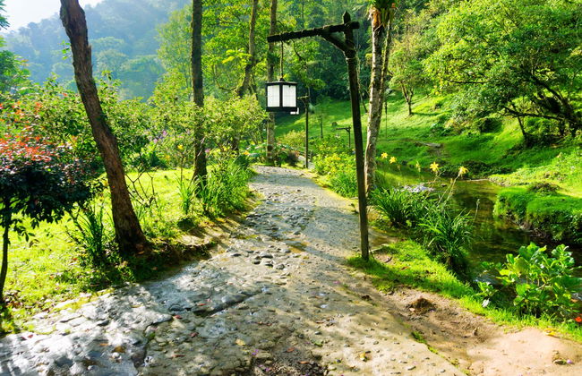 Excursão privada às termas de Santa Rosa de Cabal - Foto 2