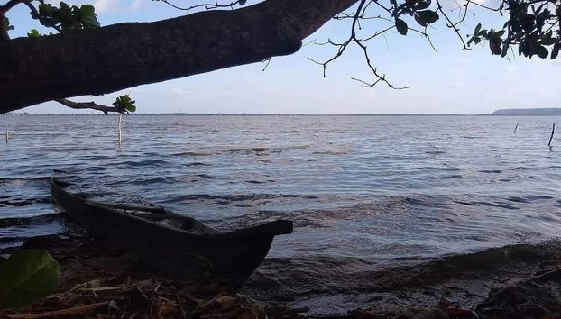 Tour pelo Pontal da Barra + lagoas Mundaú e Manguaba - Foto 5