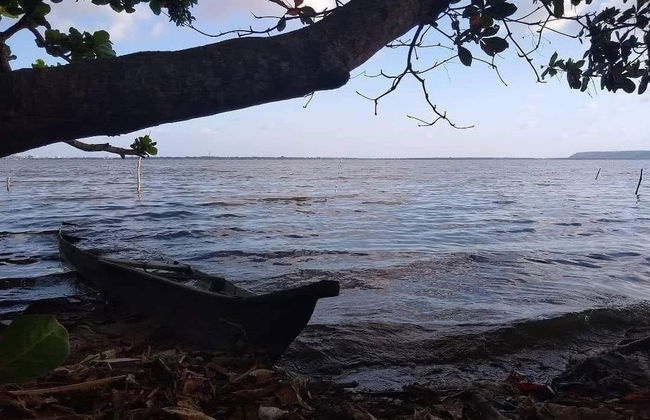 Tour pelo Pontal da Barra + lagoas Mundaú e Manguaba - Foto 5