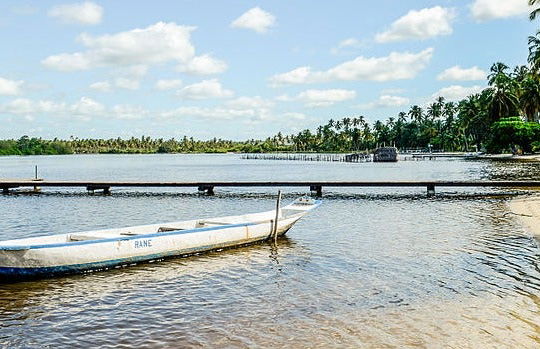 Tour pelo Pontal da Barra + lagoas Mundaú e Manguaba - Foto 8