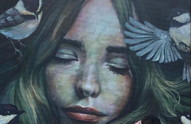 Tour dei graffiti a Houston - Foto 6