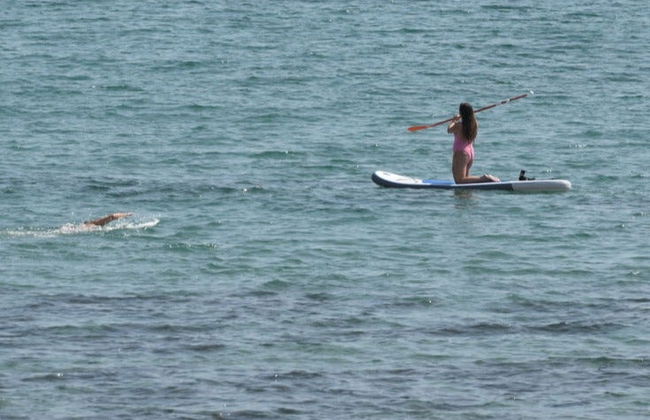 Tour en paddle surf por Patos - Photo 5