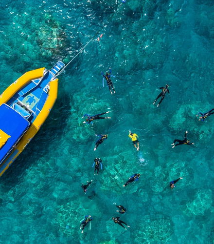 Foto - Escursione all&apos;isola Whitsunday con snorkeling