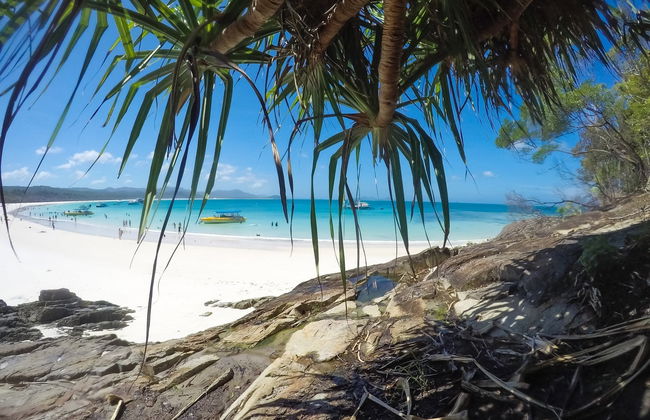 Escursione all'isola Whitsunday con snorkeling - Foto 4