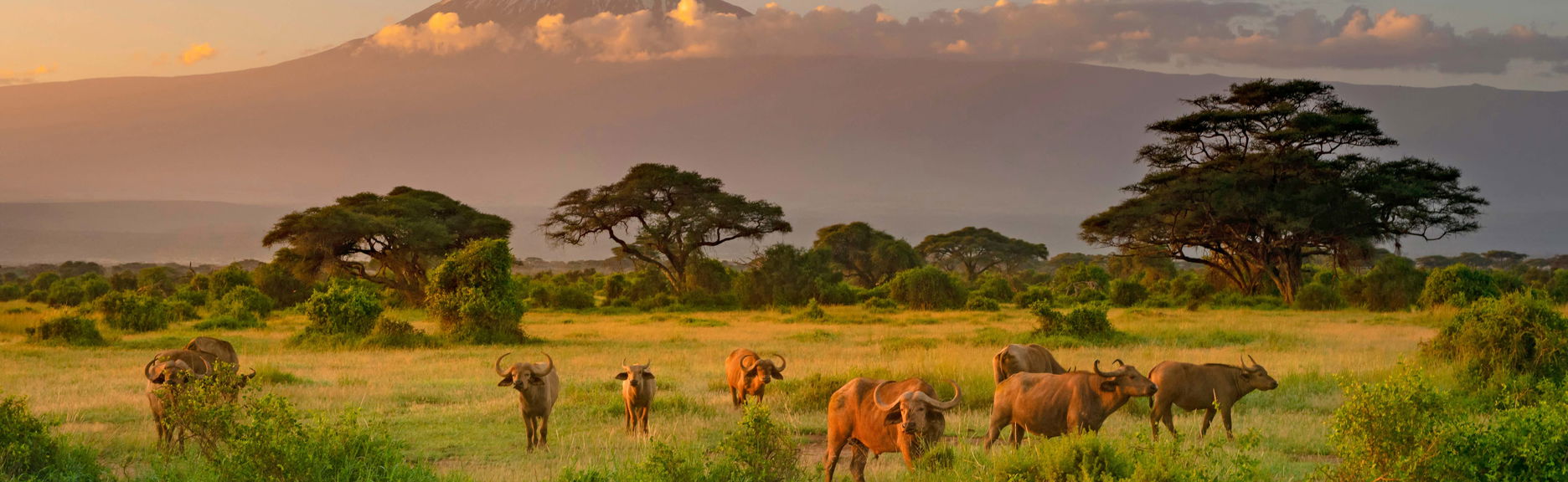 Safari privado de 2 días por el Parque Nacional de Amboseli
