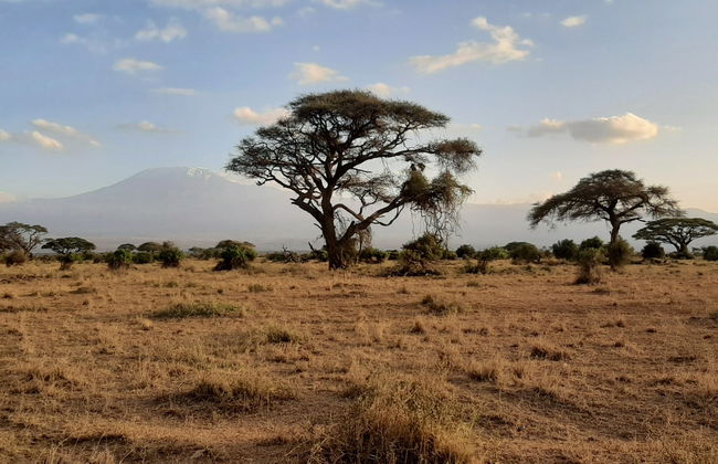 2-Day Amboseli National Park Private Safari - Photo 3