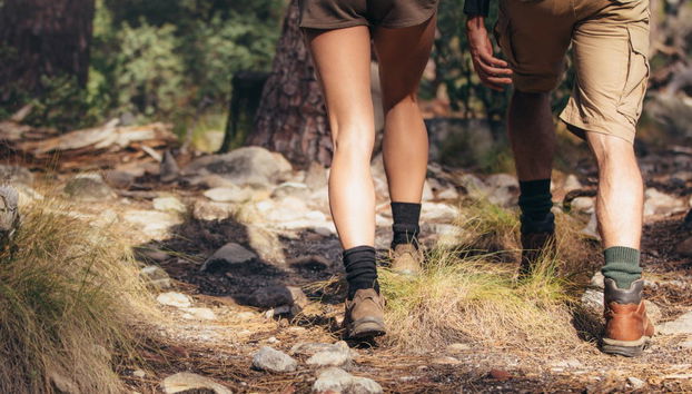 Peak Mountain Hiking Tour - Foto 4