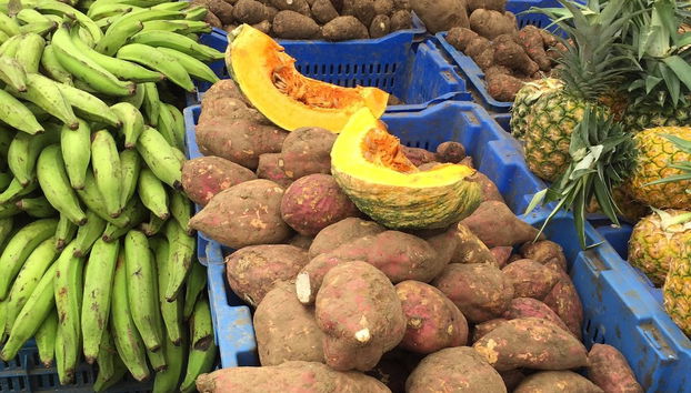 Tour gastronómico por Puerto Plata - Foto 4