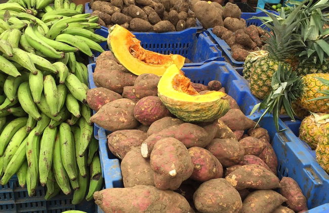 Puerto Plata Food Tour - Photo 4