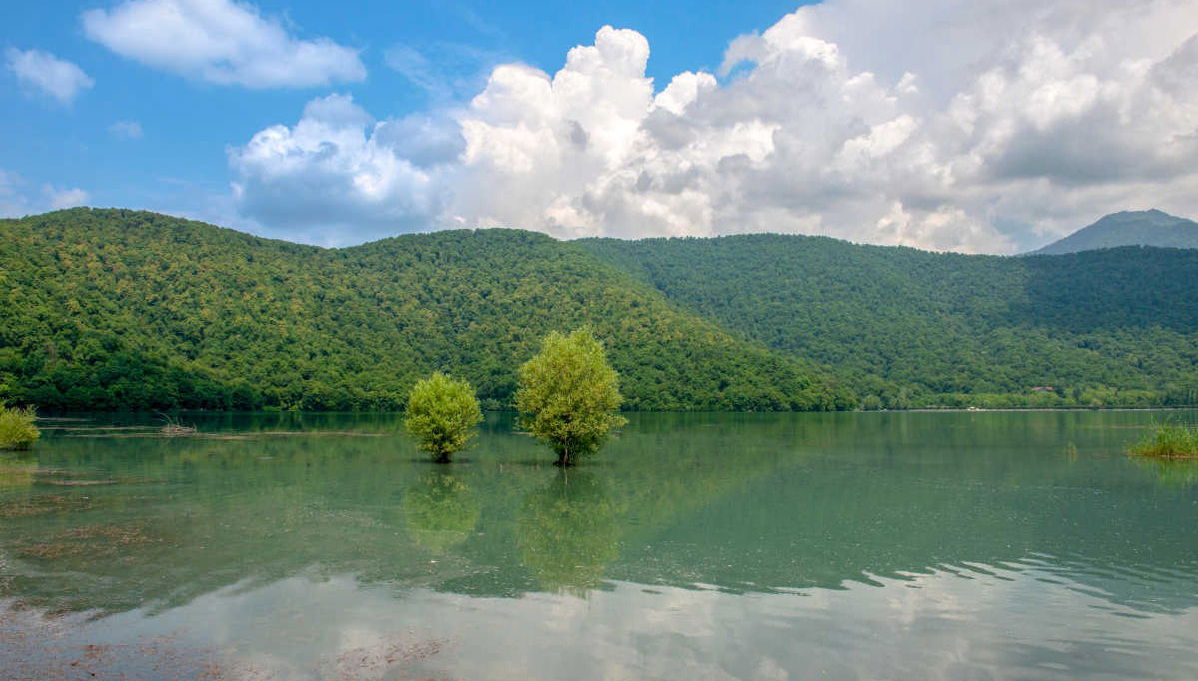 Excursão a Gabala e Shamakhi - Foto 1