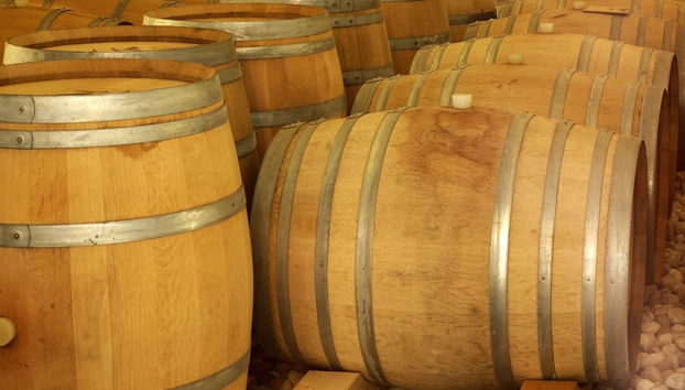 Argiolas Winery Trip - Photo 3