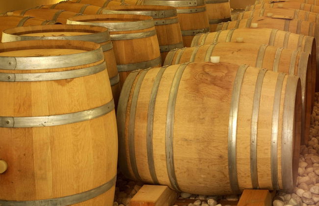 Argiolas Winery Trip - Foto 3