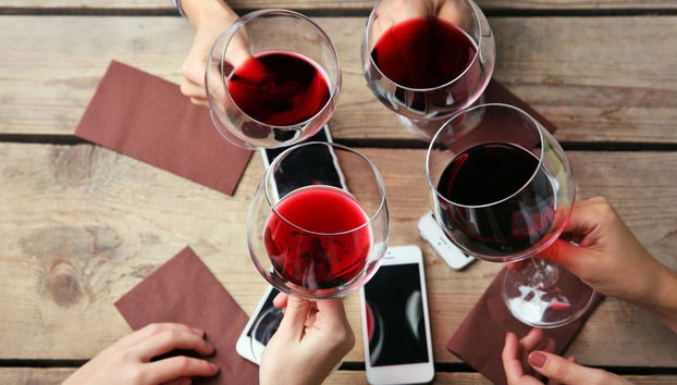 Argiolas Winery Trip - Photo 4