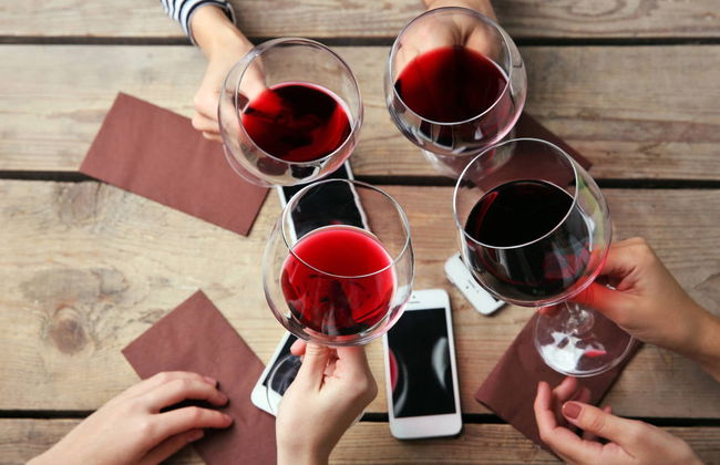 Argiolas Winery Trip - Foto 4