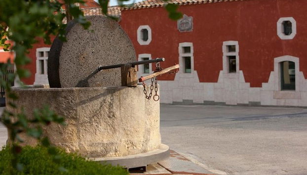 Argiolas Winery Trip - Photo 5