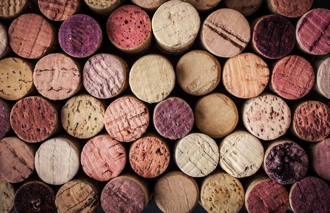 Argiolas Winery Trip - Foto 7