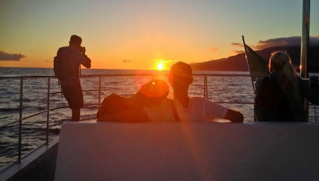 Whale Watching Sunset Cruise - Photo 2