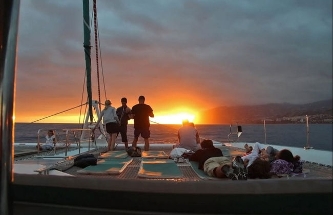 Avistamento de cetáceos ao entardecer - Foto 3