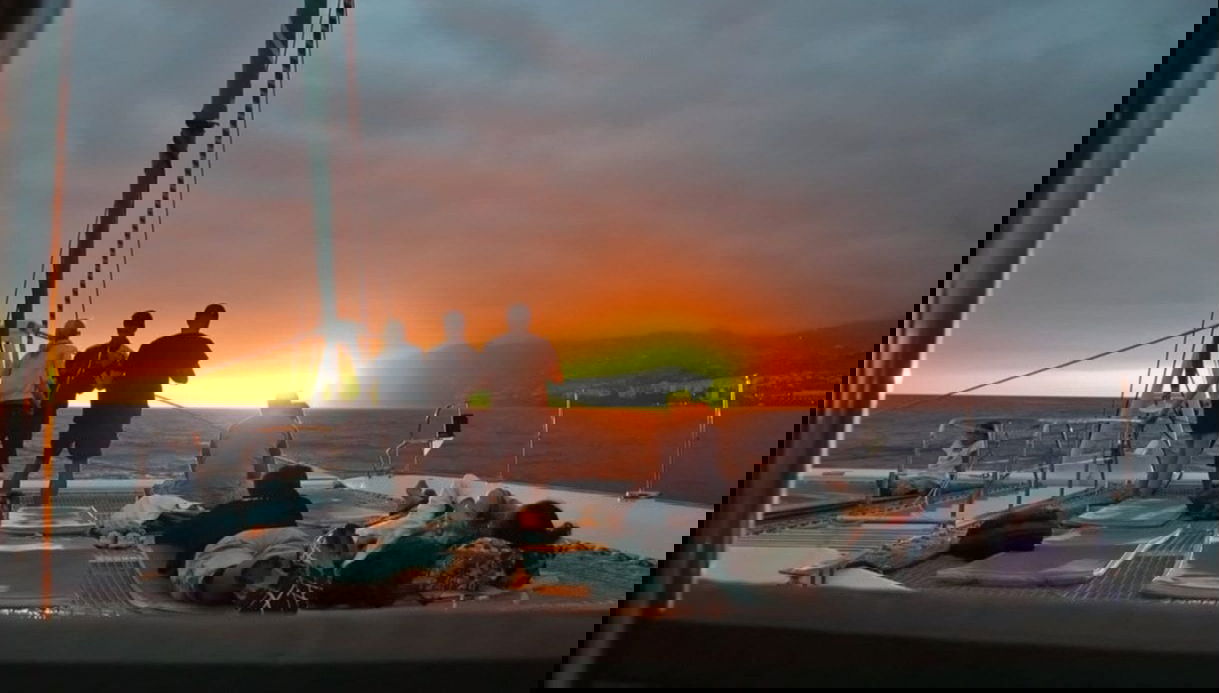 Avistamento de cetáceos ao entardecer - Foto 1