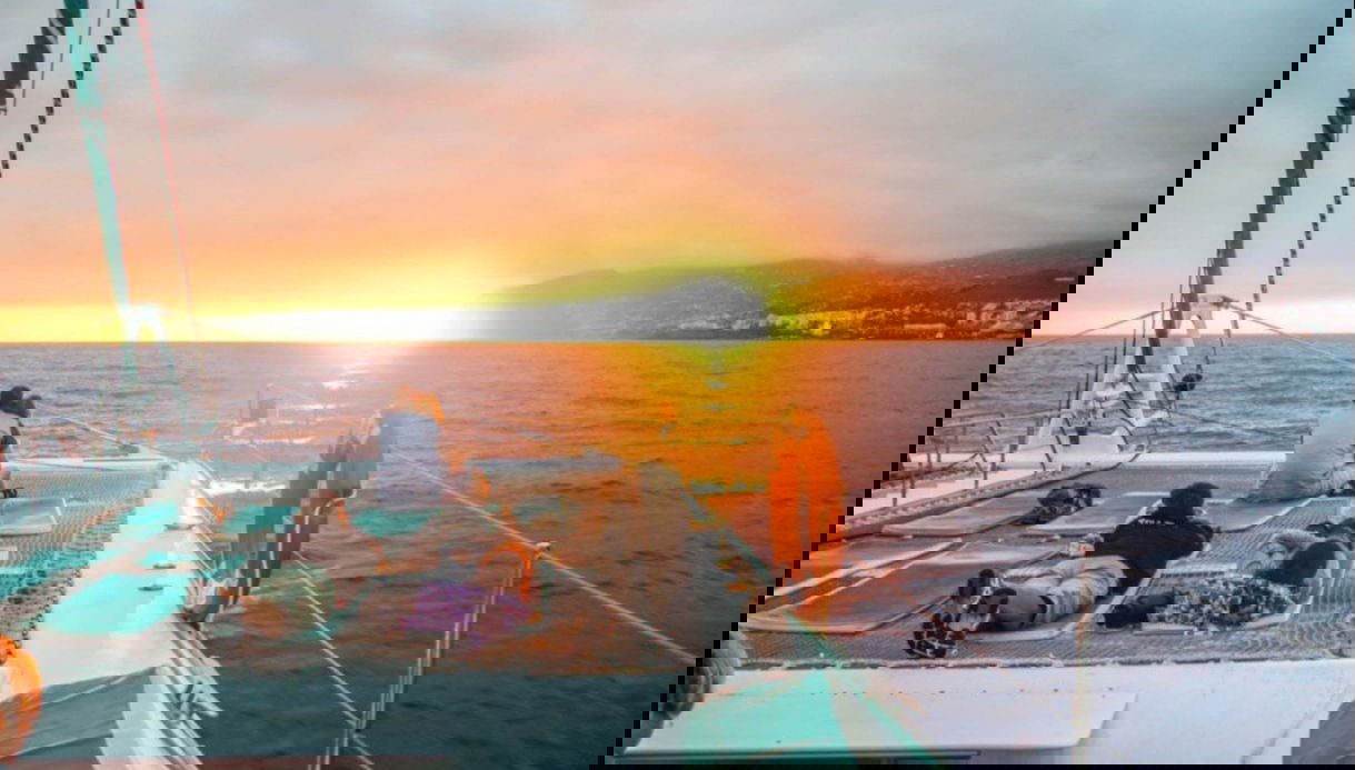 Whale Watching Sunset Cruise - Photo 1