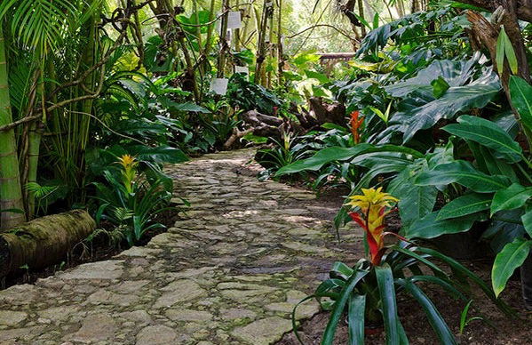 Tour por el Jardín Botánico de Acapulco - Foto 1