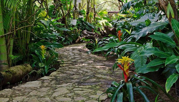 Visite du Jardin Botanique d’Acapulco - Photo 1