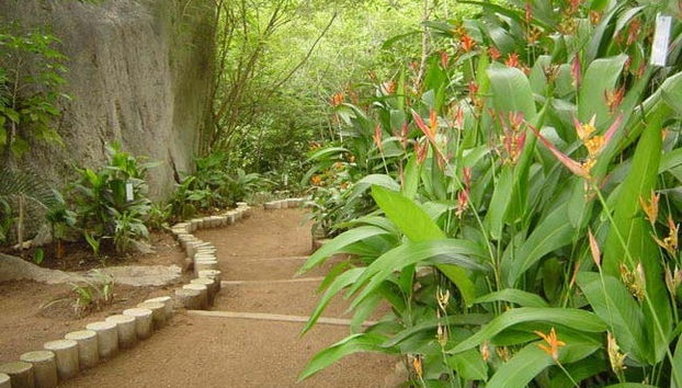 Visite du Jardin Botanique d’Acapulco - Photo 3